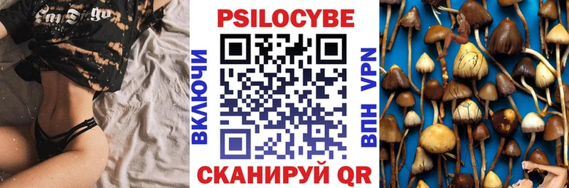 Псилоцибиновые грибы ЛСД Павлово